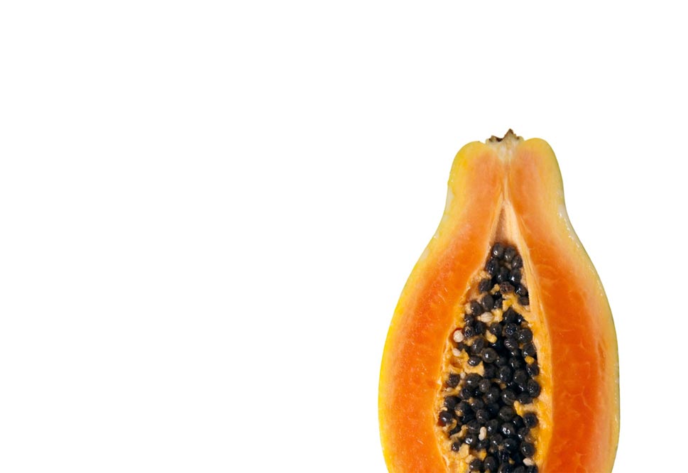 Fantasy Papaya Fruit