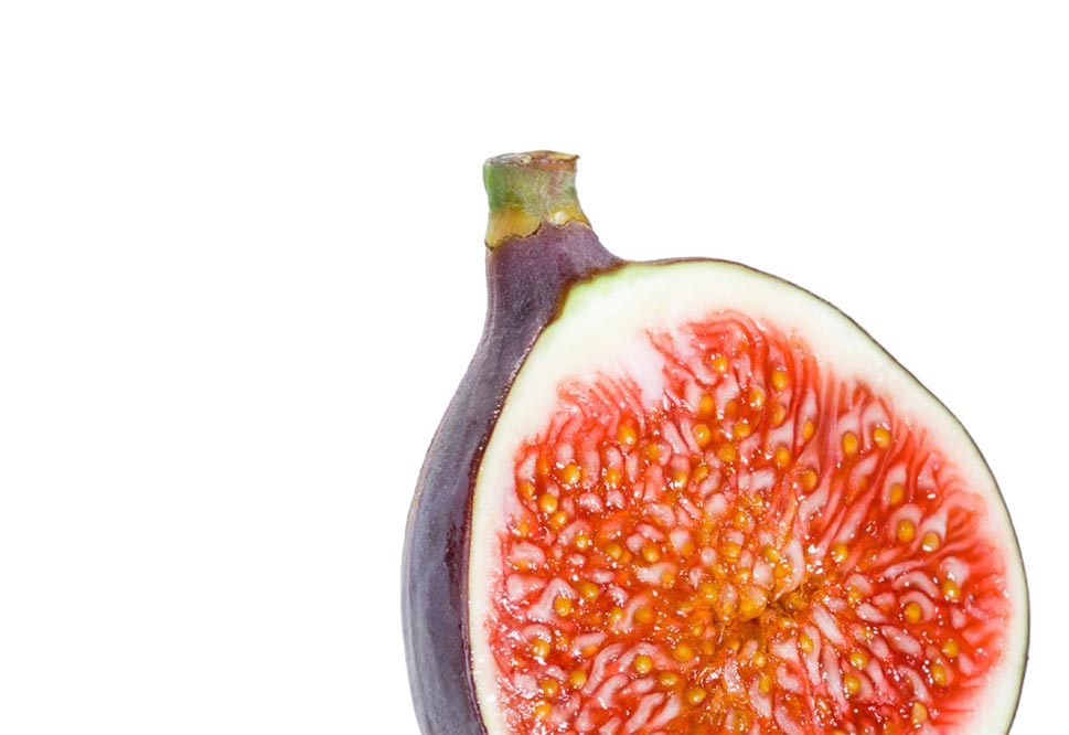 Fantasy Fig Fruit